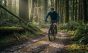 Ciclista de montaña en sendero boscoso